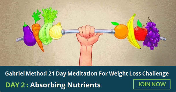 Day 2: Absorbing Nutrients